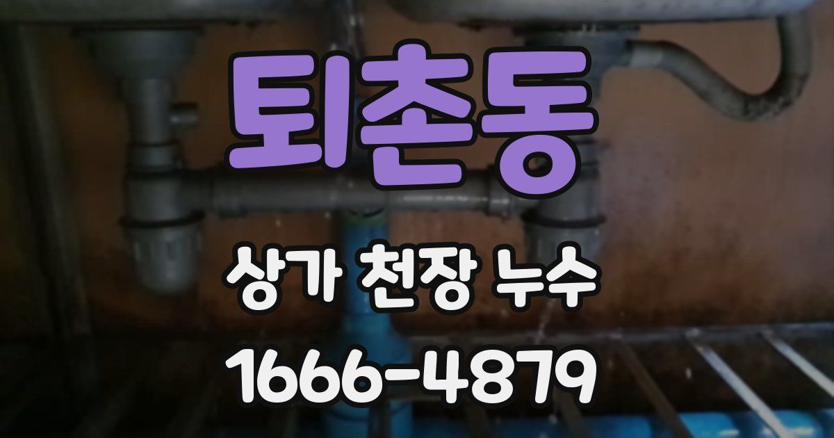 퇴촌동 상가 천장 누수