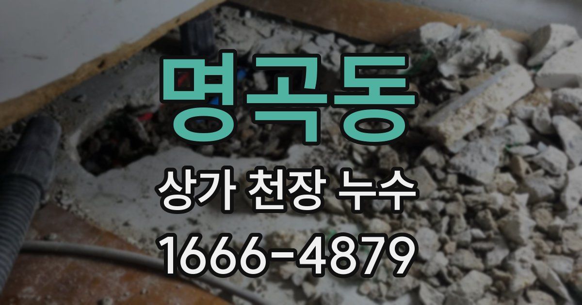 명곡동 상가 천장 누수