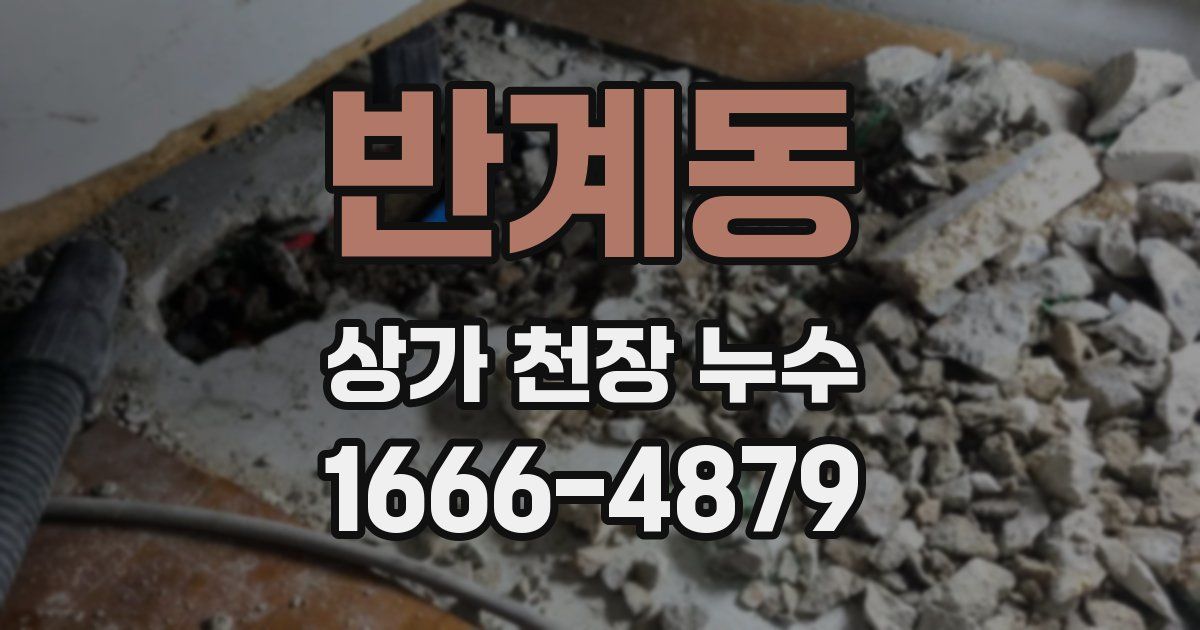 반계동 상가 천장 누수