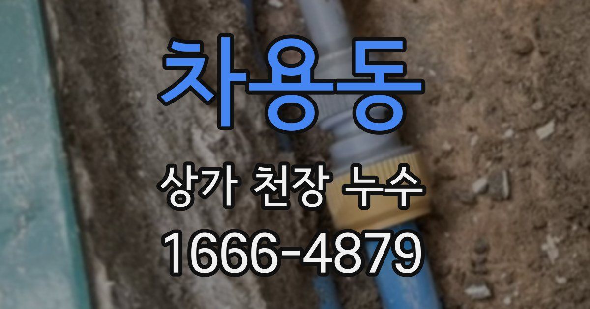 차용동 상가 천장 누수