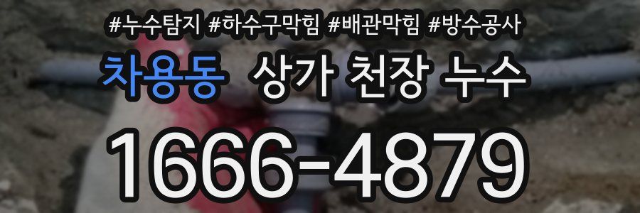 차용동 상가 천장 누수