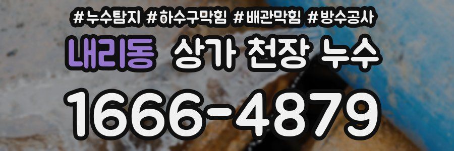 내리동 상가 천장 누수