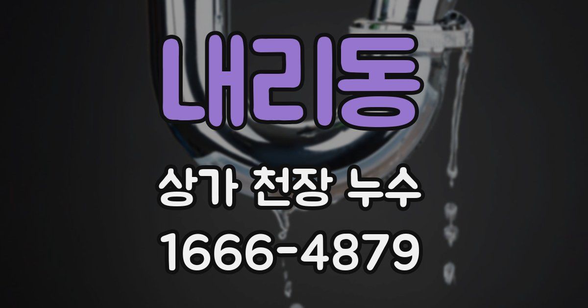 내리동 상가 천장 누수