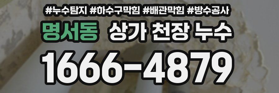 명서동 상가 천장 누수