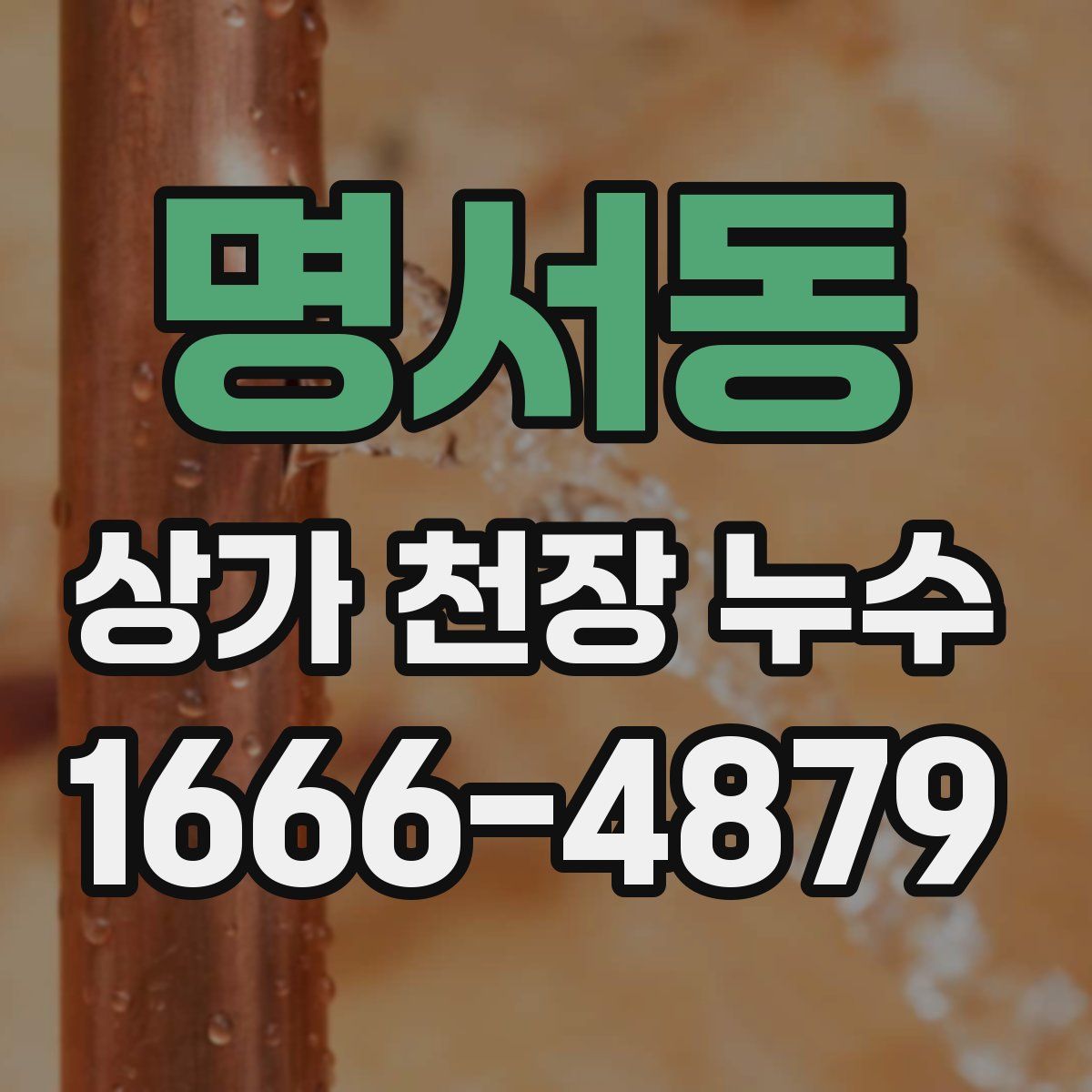 명서동 상가 천장 누수