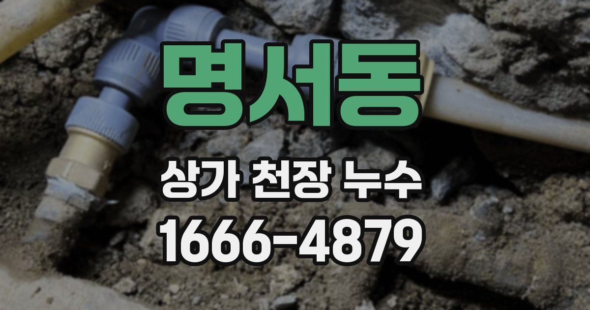 명서동 상가 천장 누수