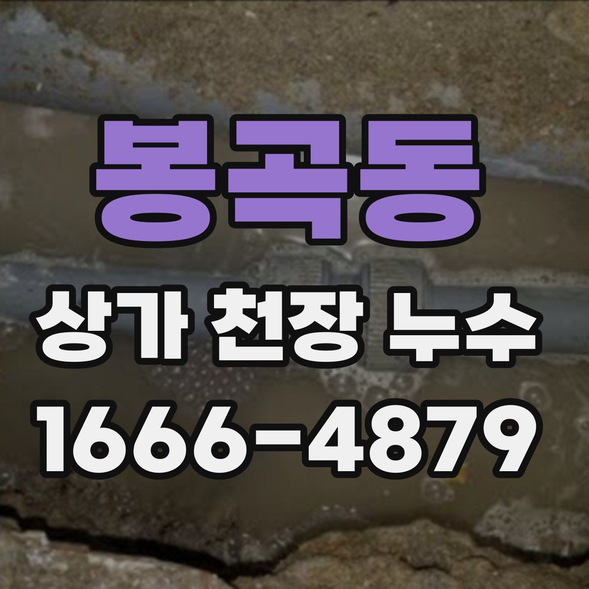 봉곡동 상가 천장 누수