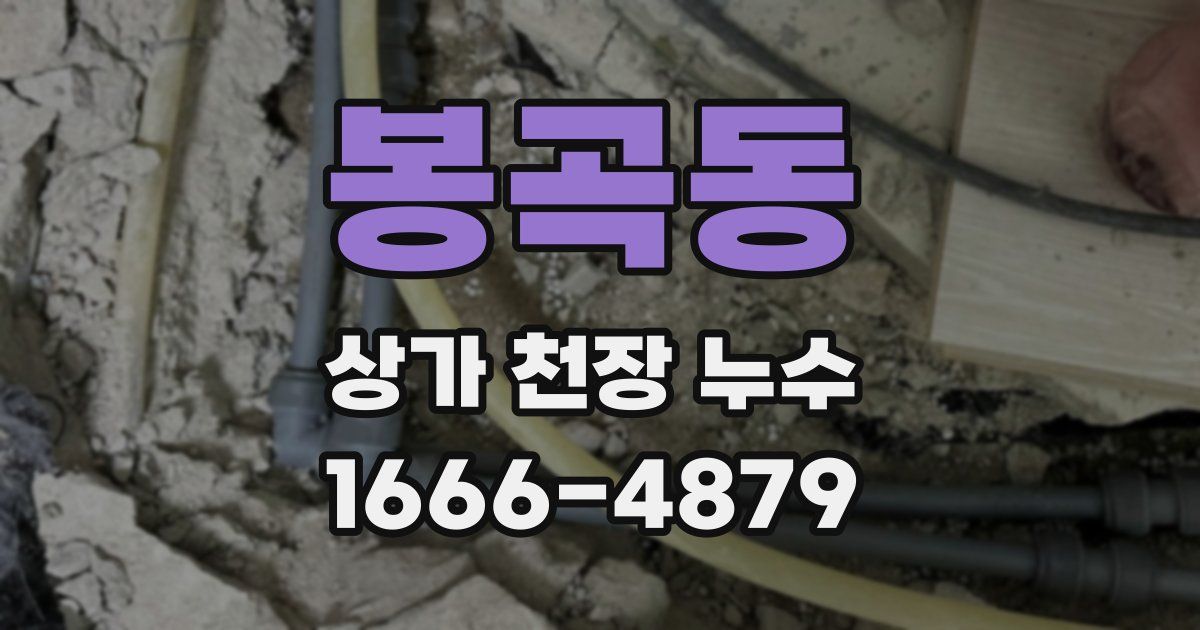 봉곡동 상가 천장 누수