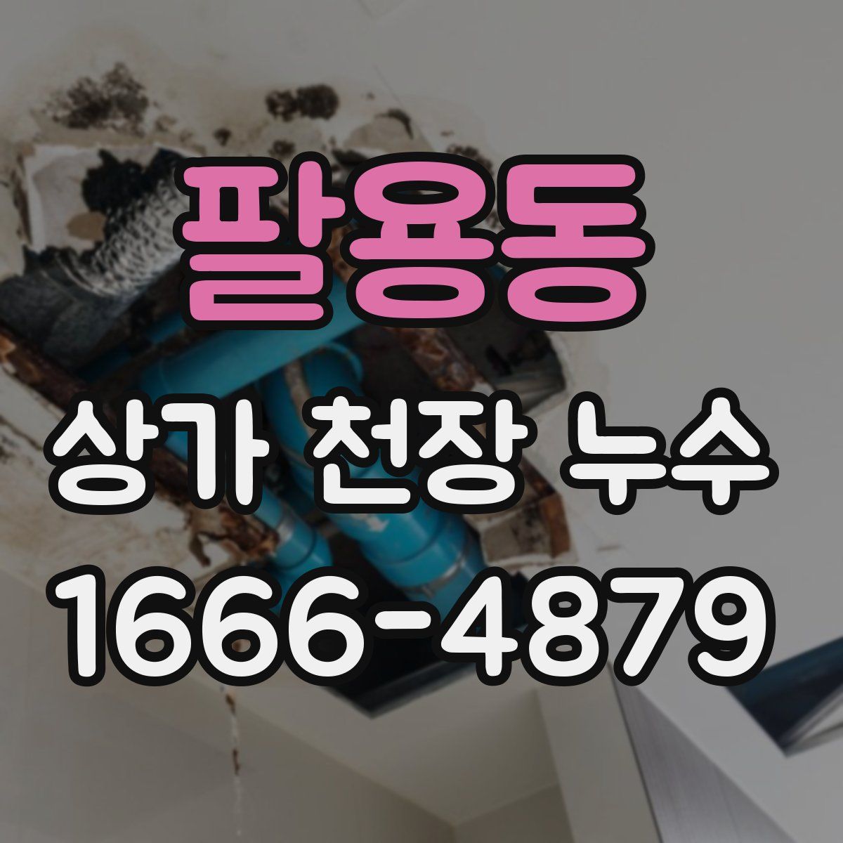 팔용동 상가 천장 누수