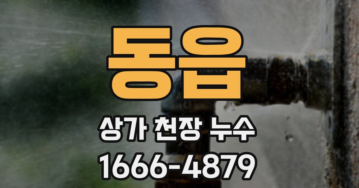 동읍 상가 천장 누수