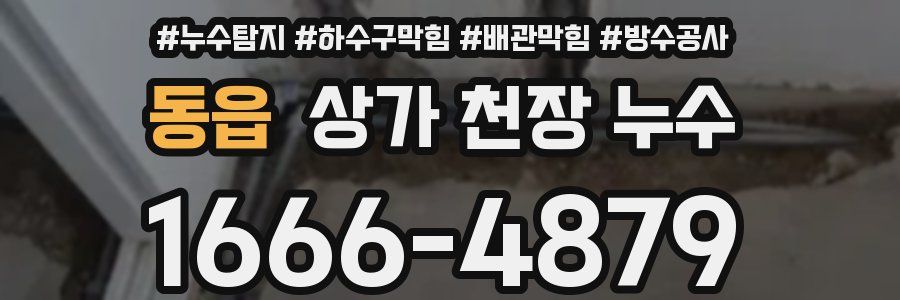 동읍 상가 천장 누수