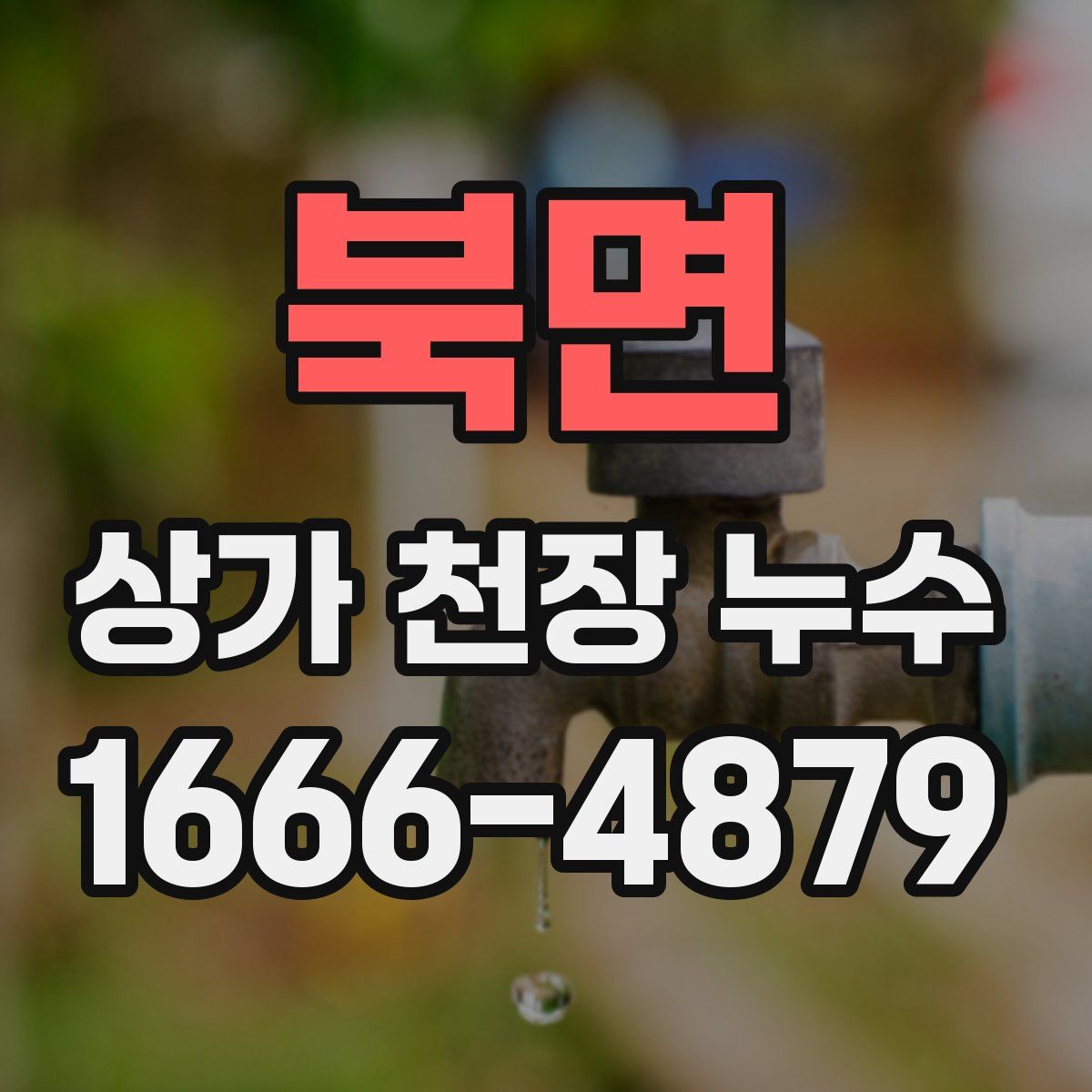 북면 상가 천장 누수