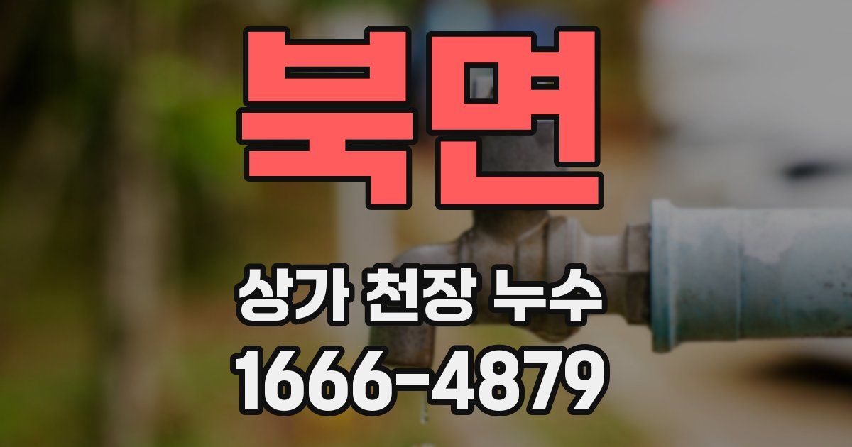 북면 상가 천장 누수