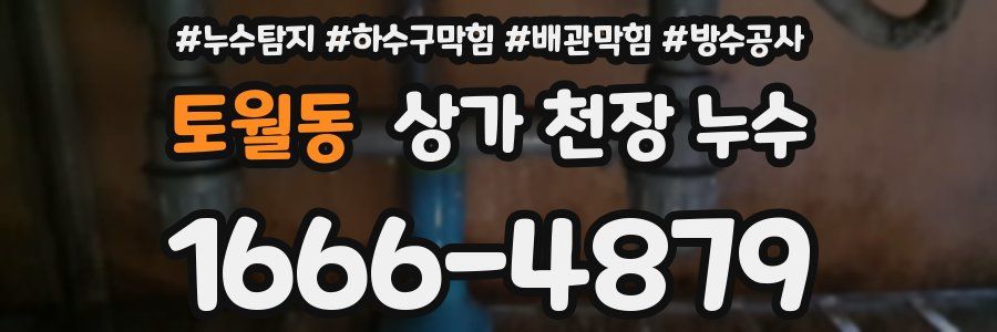 토월동 상가 천장 누수