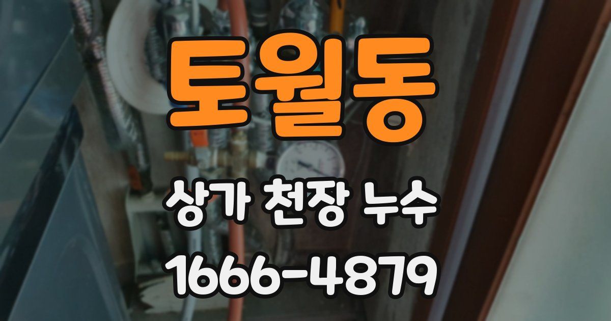 토월동 상가 천장 누수