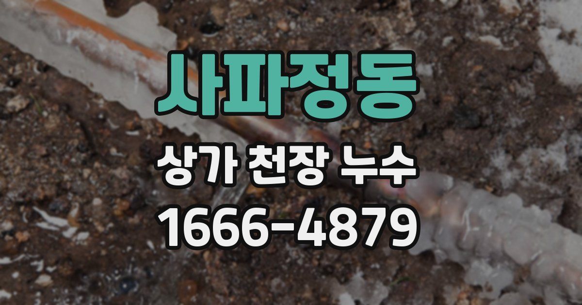 사파정동 상가 천장 누수
