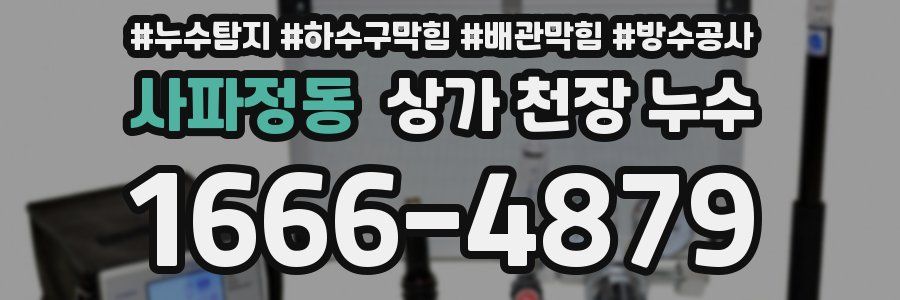 사파정동 상가 천장 누수