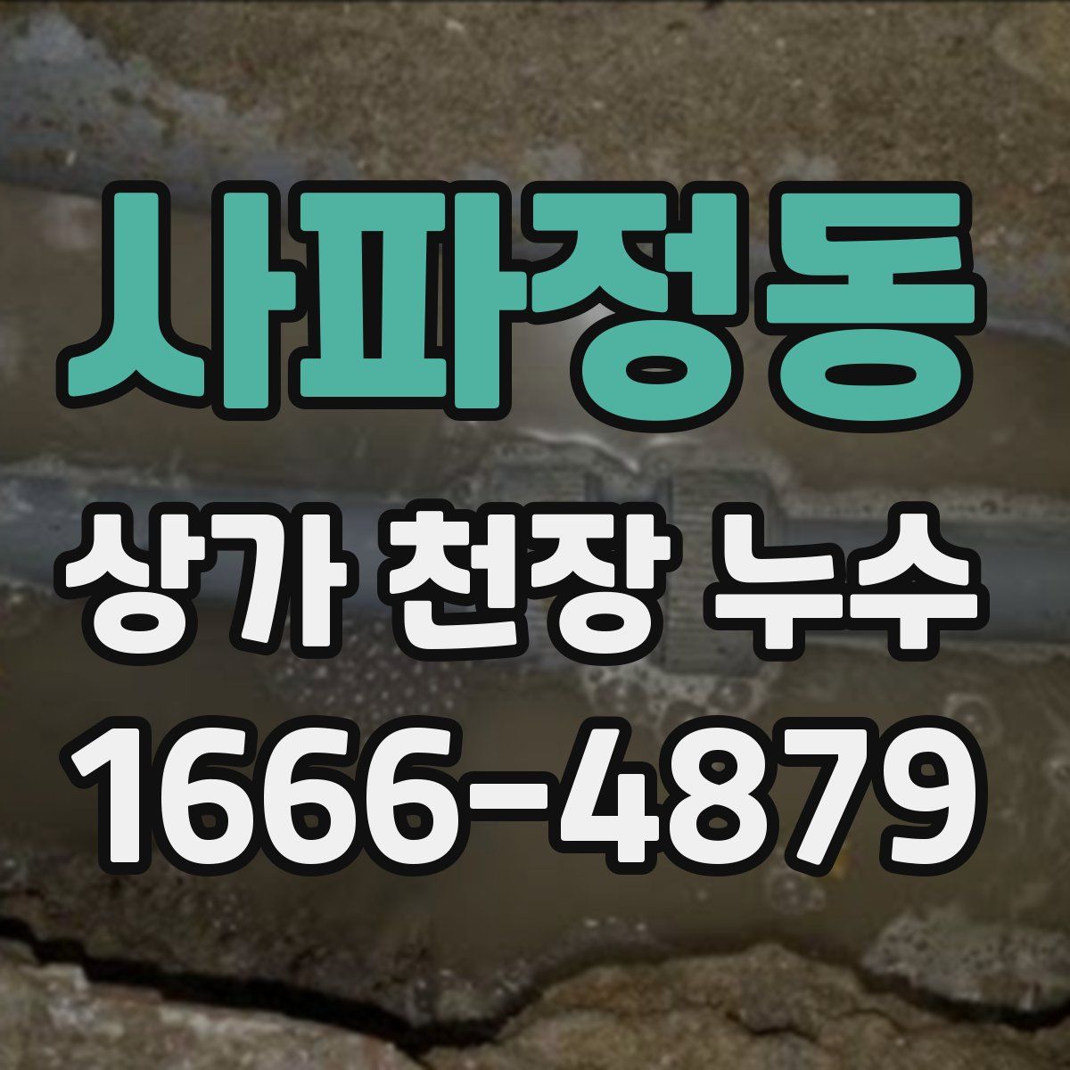사파정동 상가 천장 누수