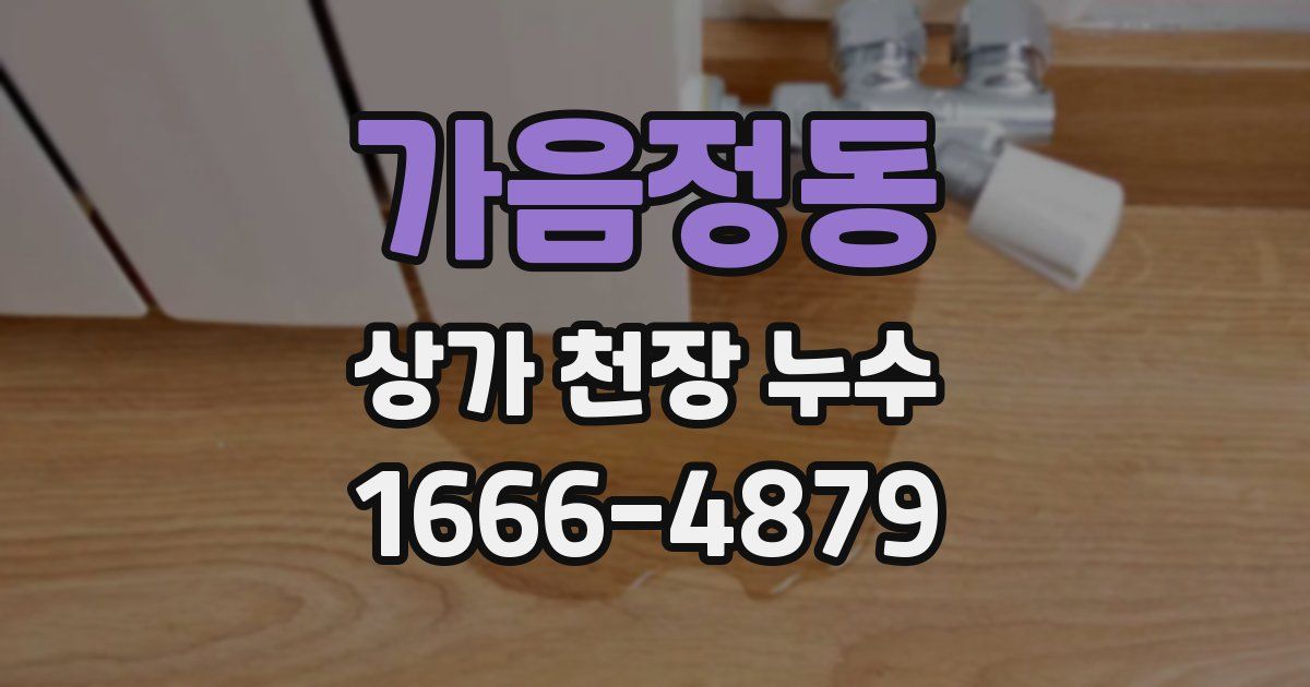 가음정동 상가 천장 누수