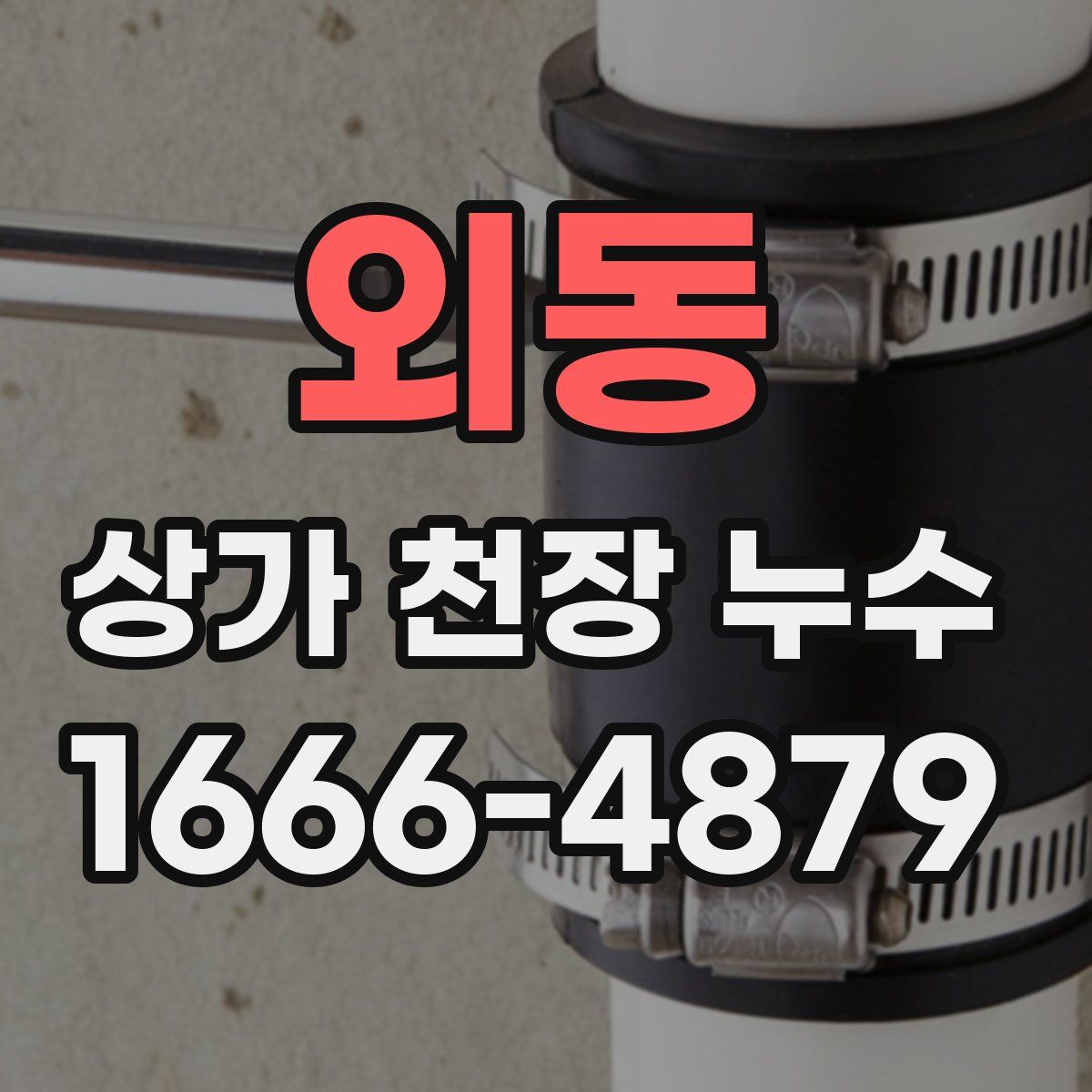 외동 상가 천장 누수