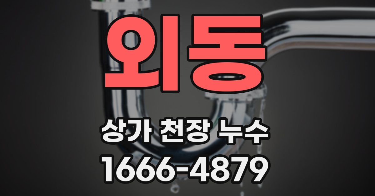 외동 상가 천장 누수