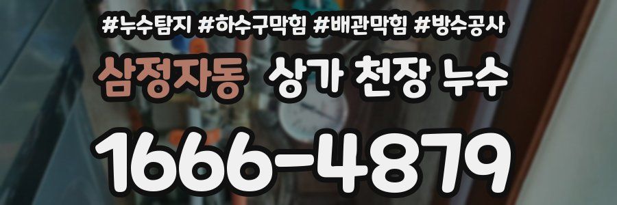 삼정자동 상가 천장 누수