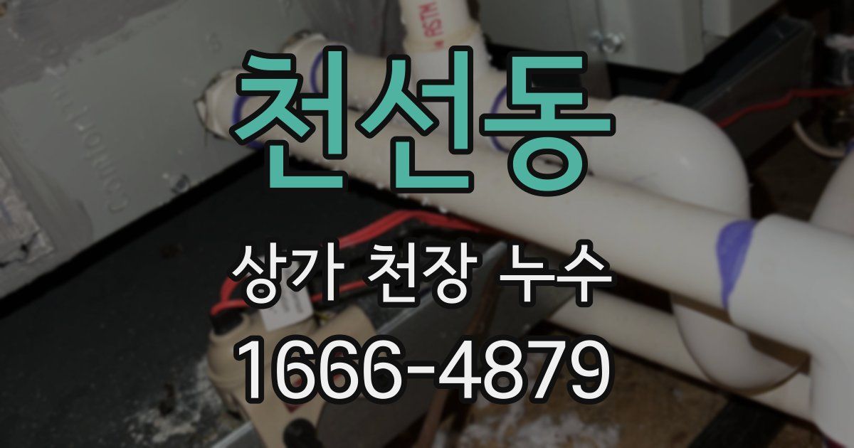 천선동 상가 천장 누수