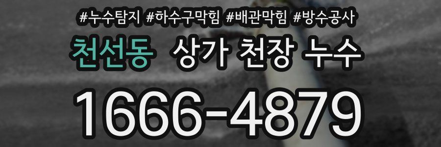 천선동 상가 천장 누수