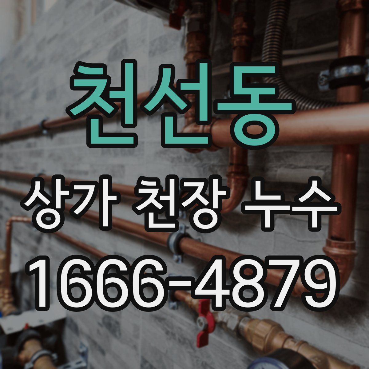 천선동 상가 천장 누수