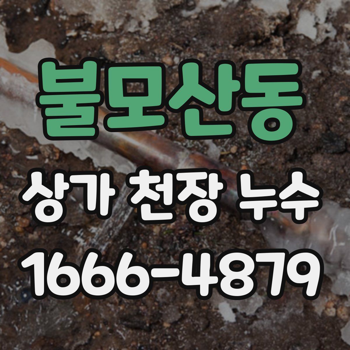불모산동 상가 천장 누수