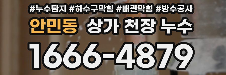 안민동 상가 천장 누수