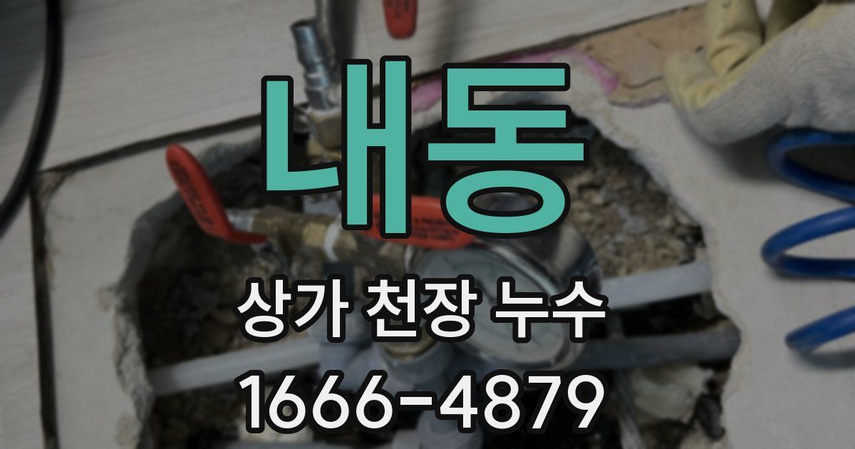 내동 상가 천장 누수