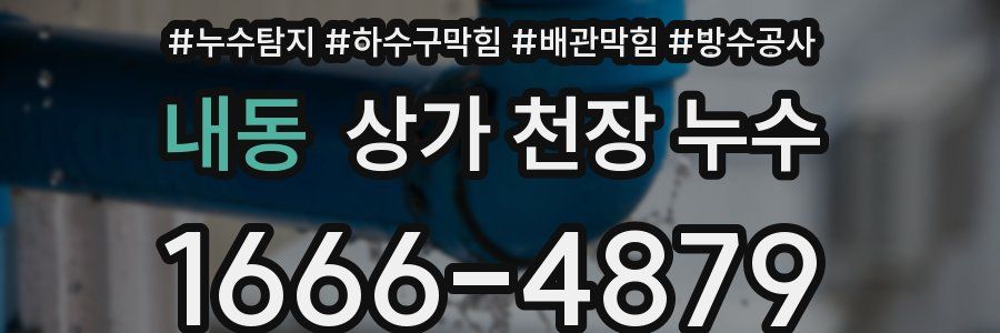 내동 상가 천장 누수