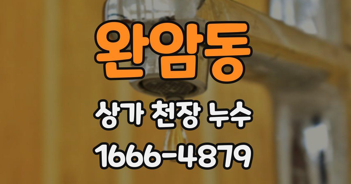 완암동 상가 천장 누수