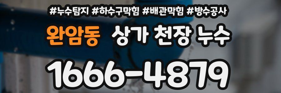 완암동 상가 천장 누수
