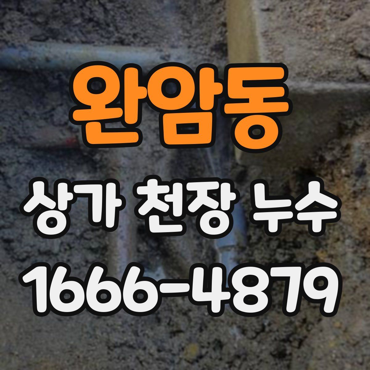 완암동 상가 천장 누수