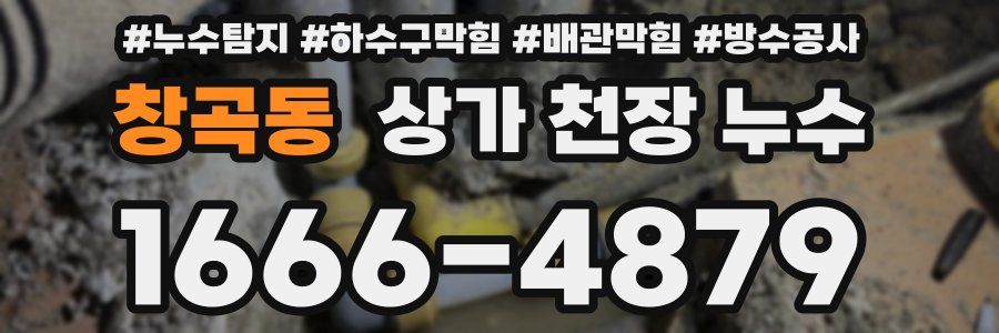 창곡동 상가 천장 누수