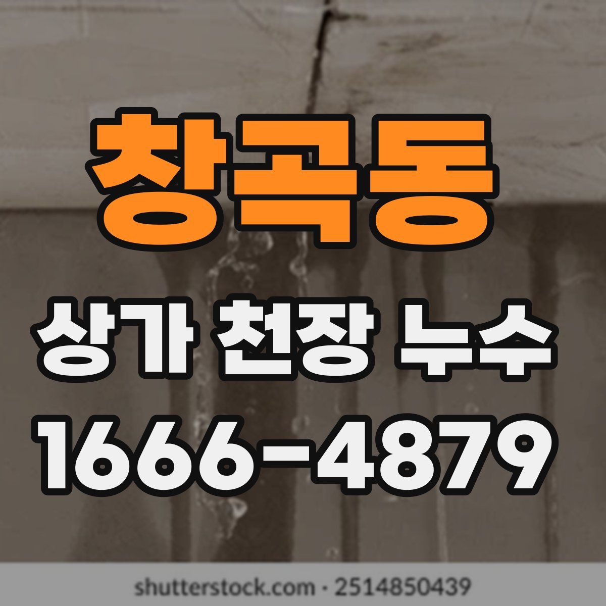 창곡동 상가 천장 누수