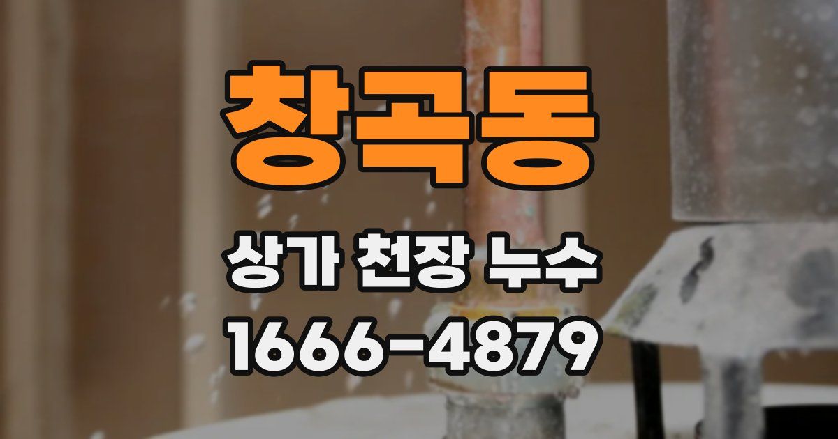 창곡동 상가 천장 누수