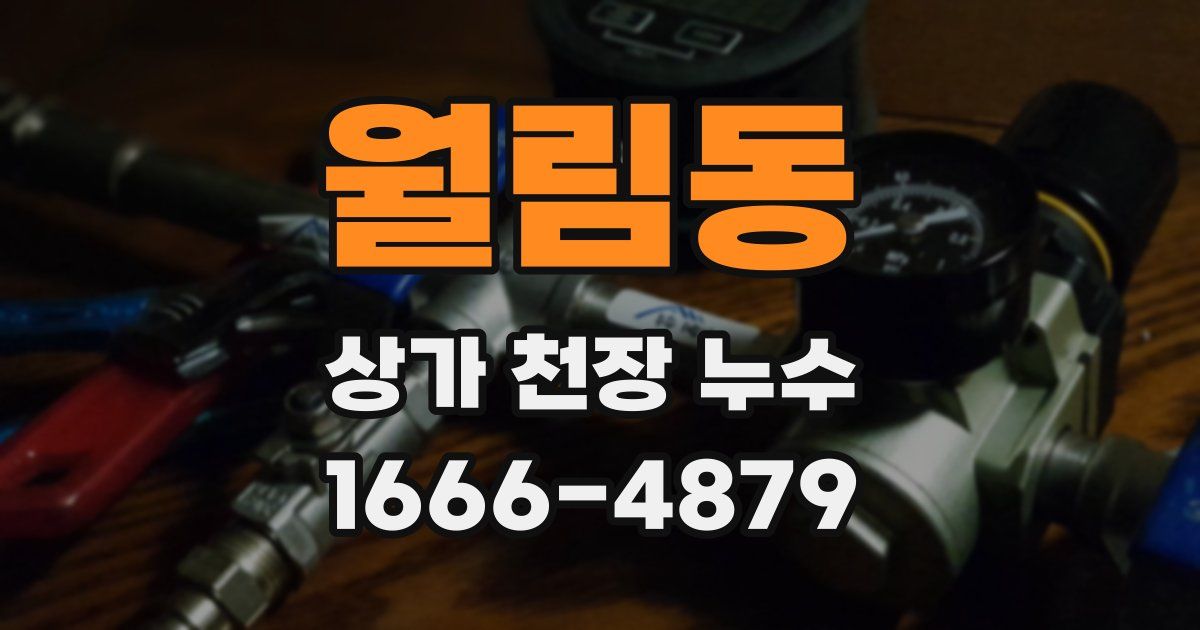 월림동 상가 천장 누수