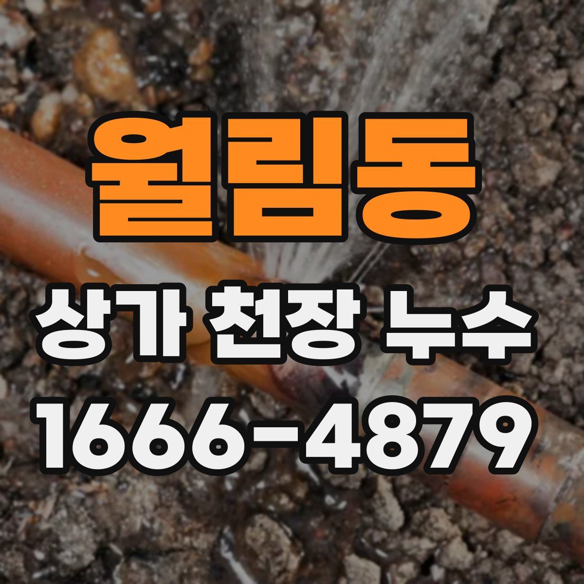 월림동 상가 천장 누수
