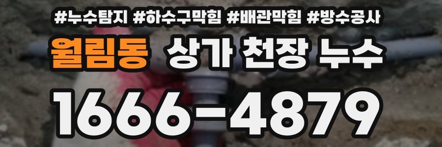 월림동 상가 천장 누수