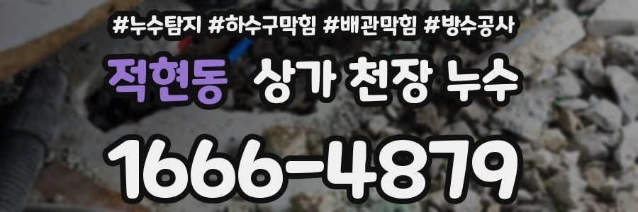 적현동 상가 천장 누수