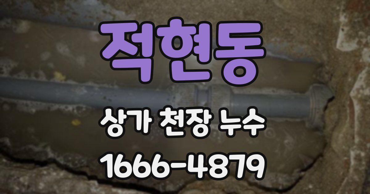 적현동 상가 천장 누수