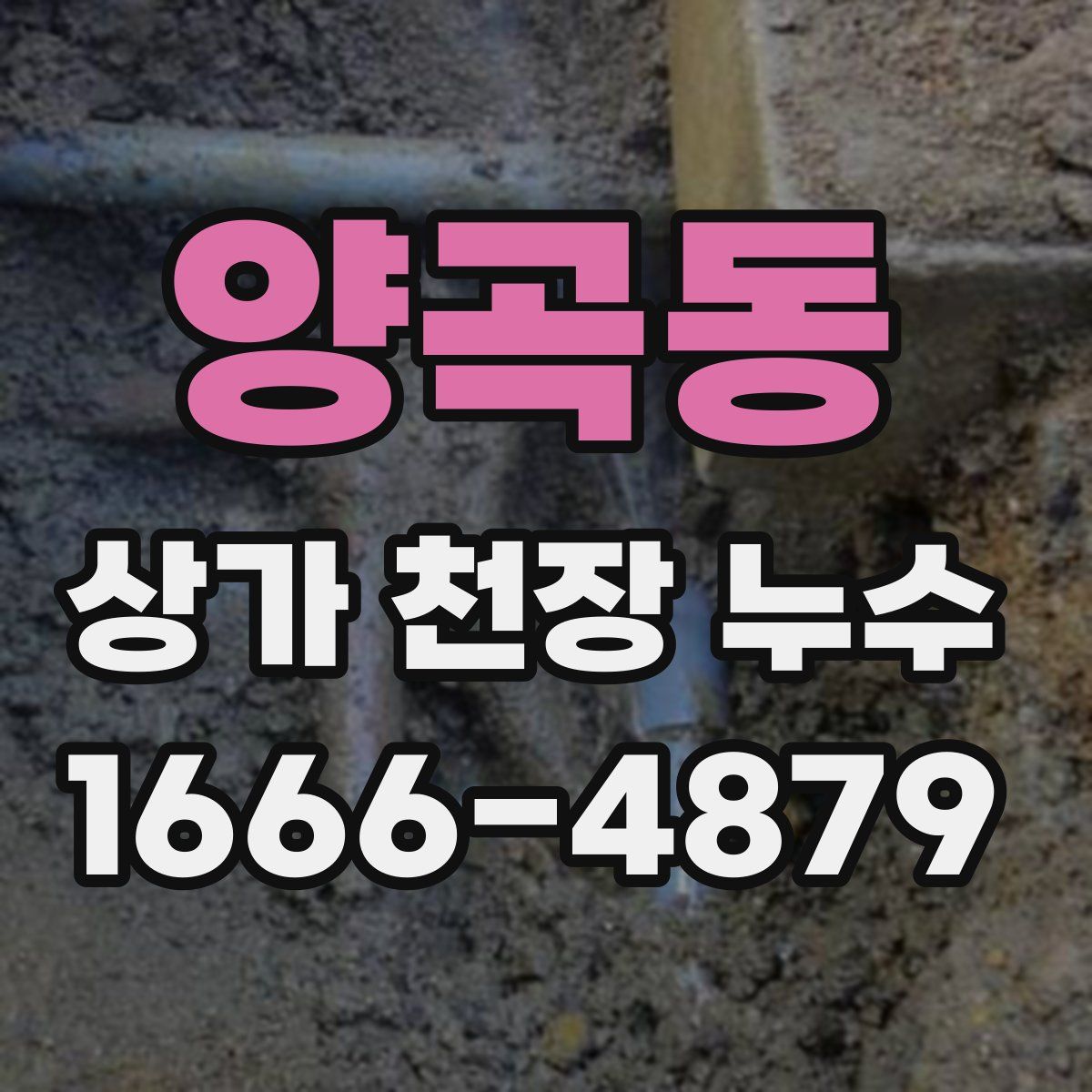 양곡동 상가 천장 누수