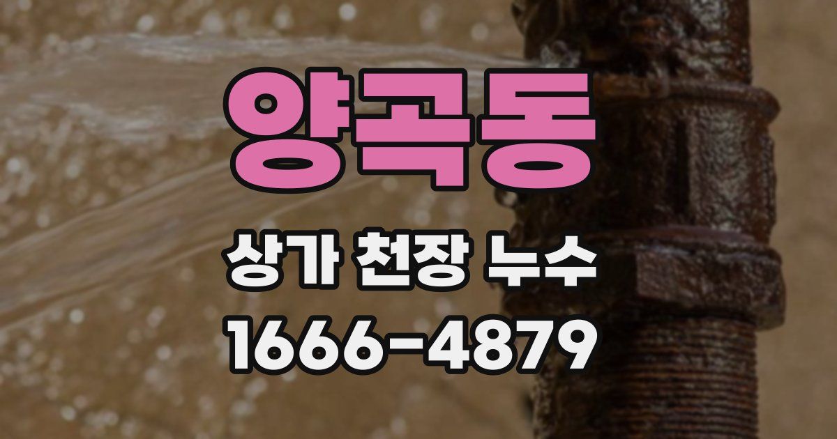 양곡동 상가 천장 누수