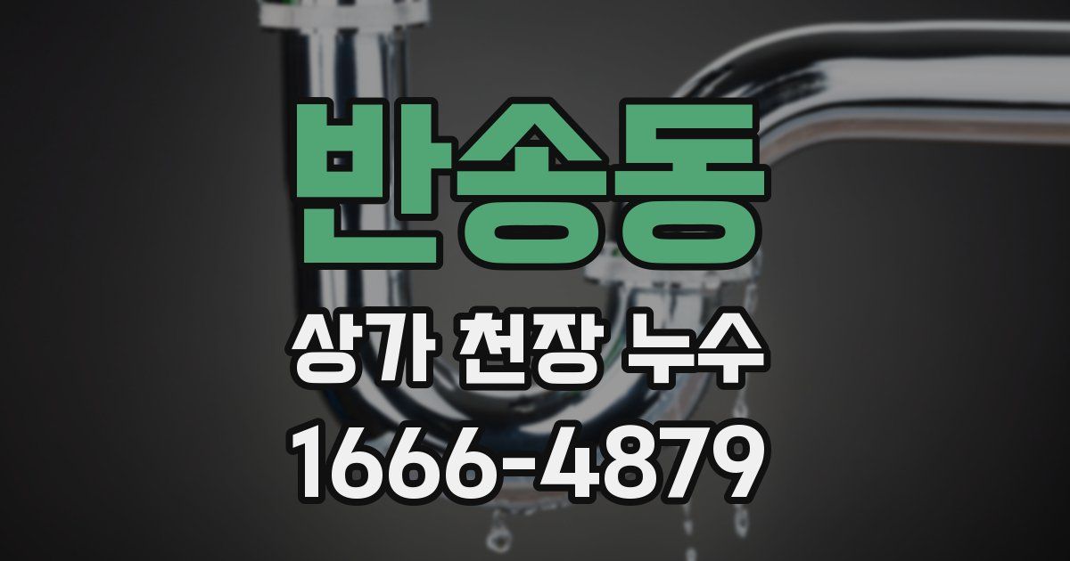 반송동 상가 천장 누수