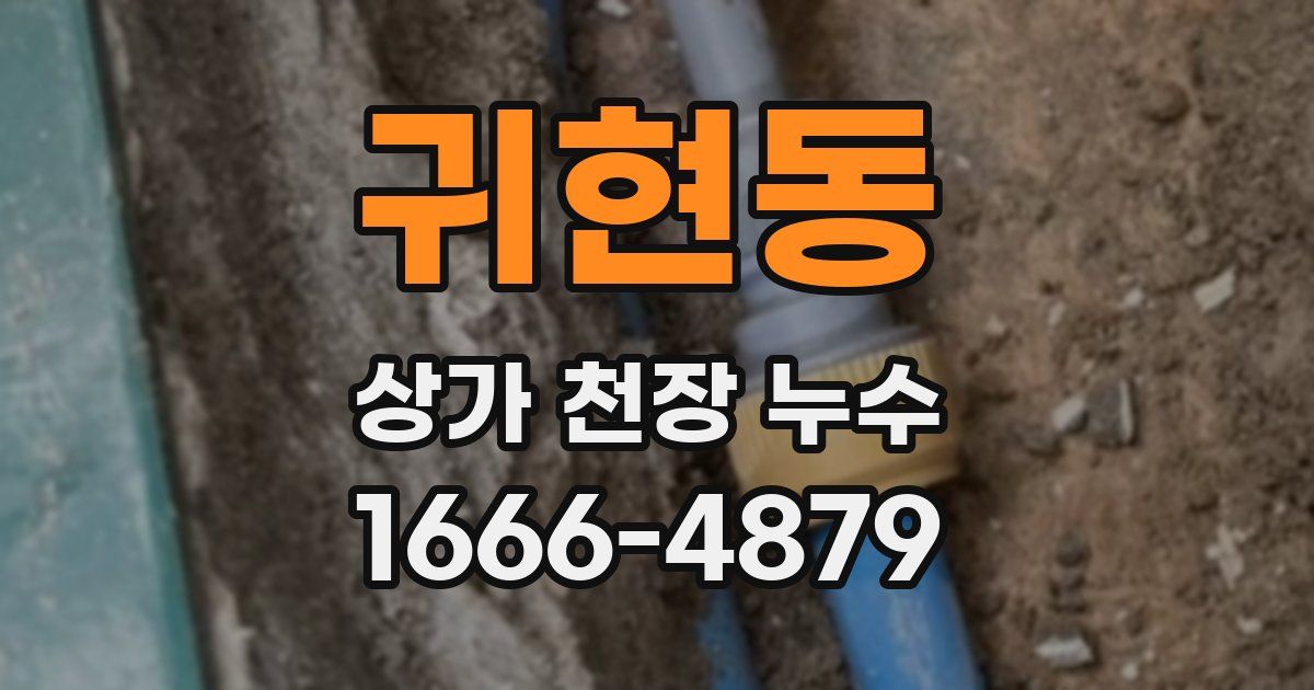 귀현동 상가 천장 누수