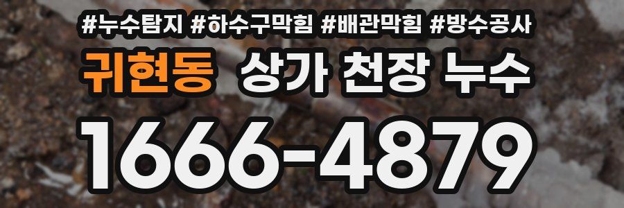 귀현동 상가 천장 누수