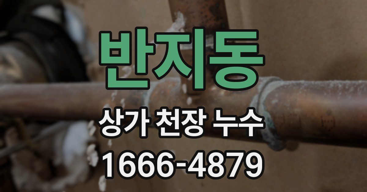 반지동 상가 천장 누수